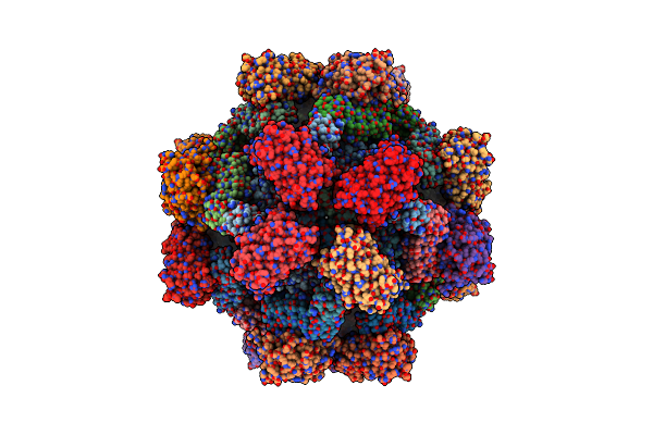 9J48 image