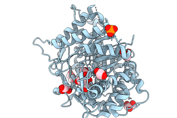 9J49 image