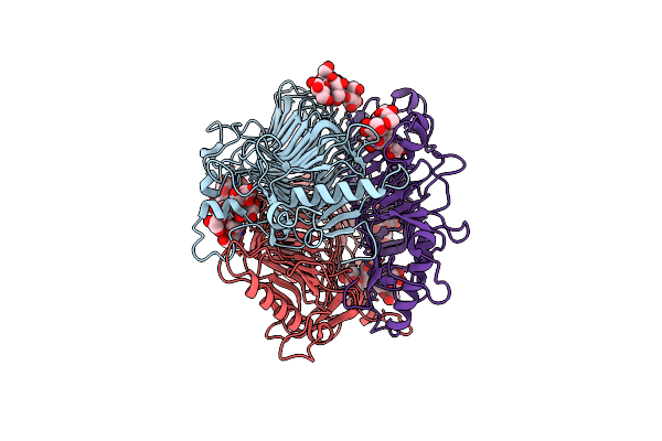 9J4I image