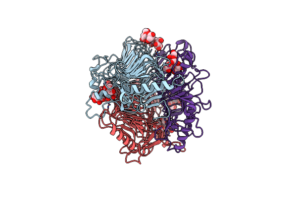 9J4J image