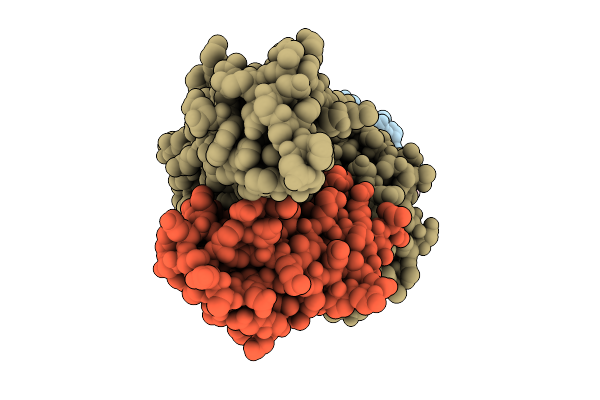 9J4V image