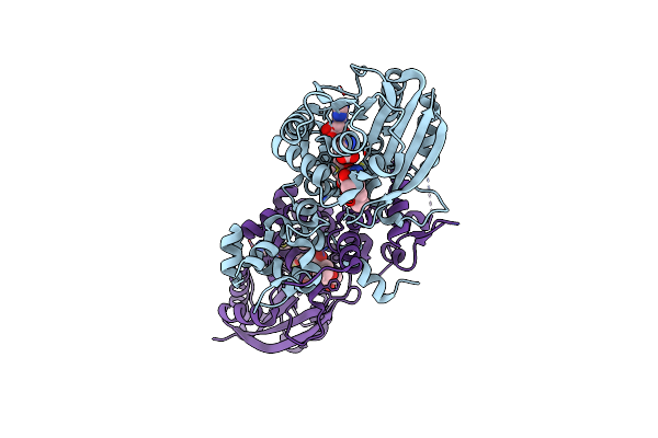 9J56 image