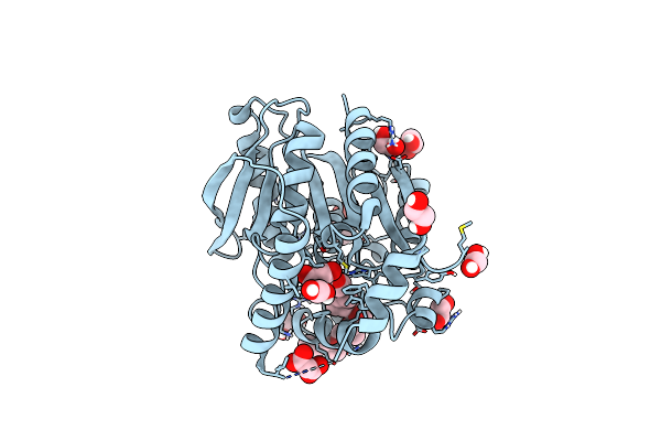 9J58 image
