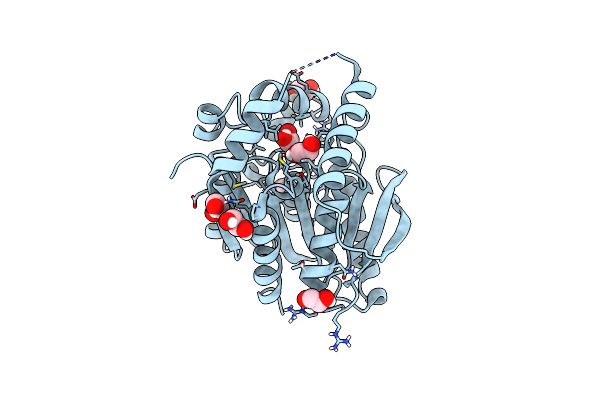 9J59 image