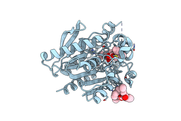 9J5C image