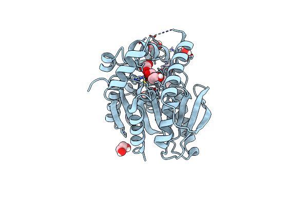 9J5D image
