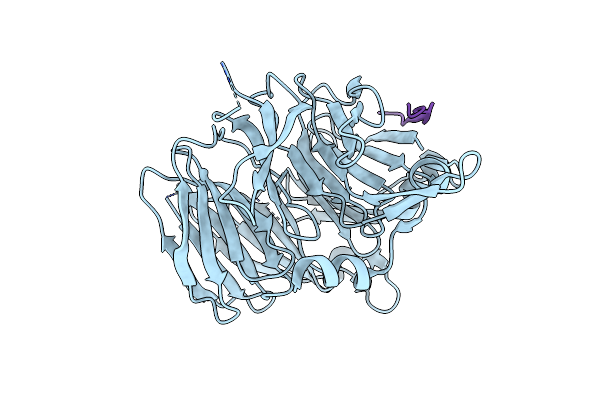 9J5E image