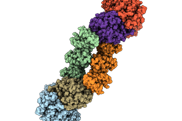 9J5I image