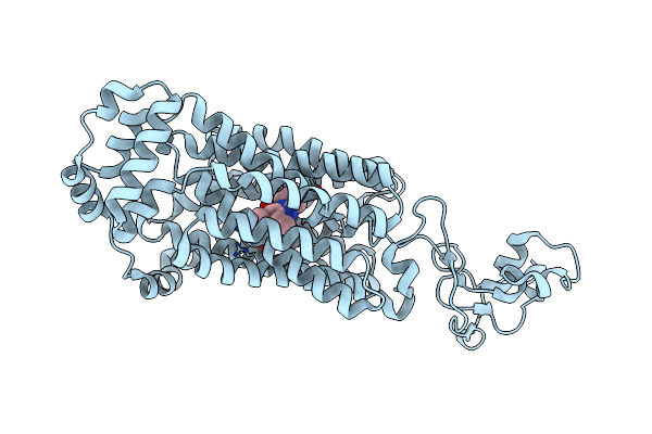 9J5X image