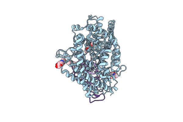 9J62 image