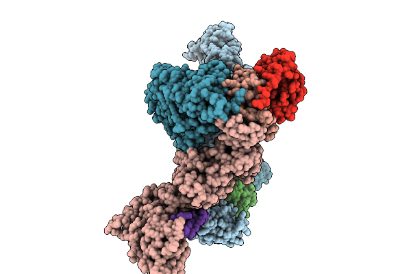 9J64 image