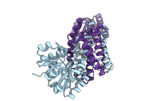 9J6C image