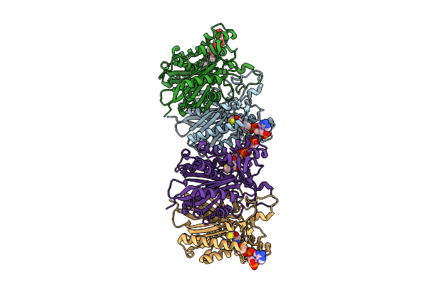 9J6E image