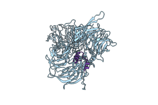 9J6K image