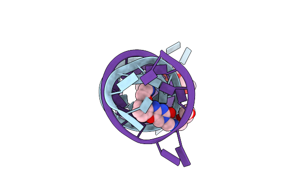9J6P image