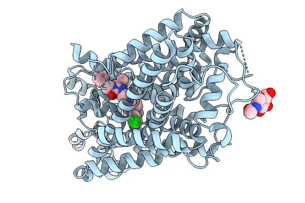 9J6V image