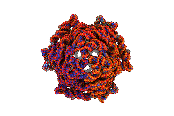 9J6Y image