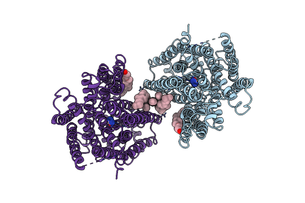 9J7C image