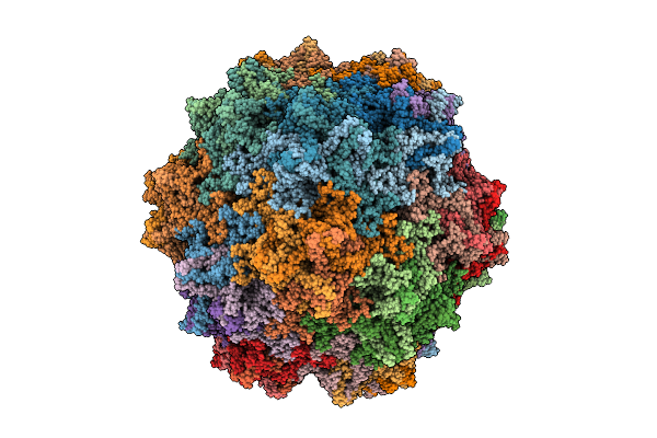 9J7K image