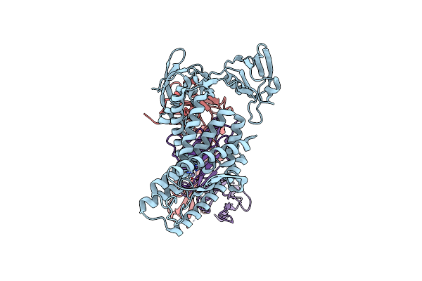 9J82 image