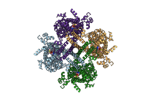 9J84 image