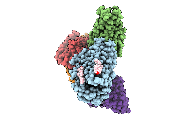 9J87 image