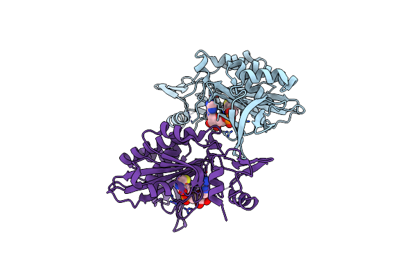9J8E image