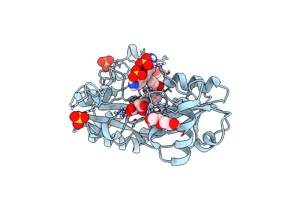 9J8K image