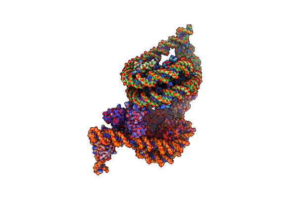 9J8N image