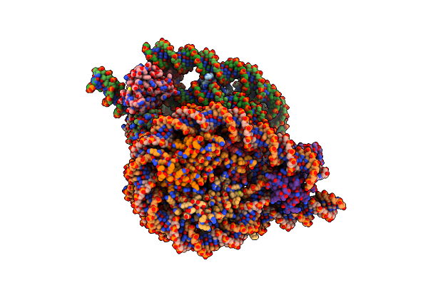 9J8O image