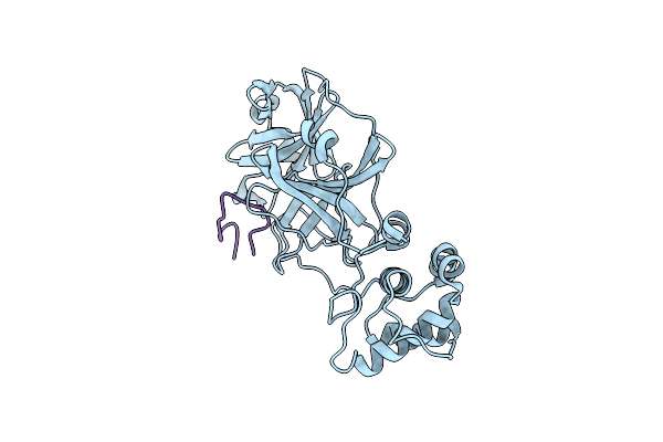 9J8T image