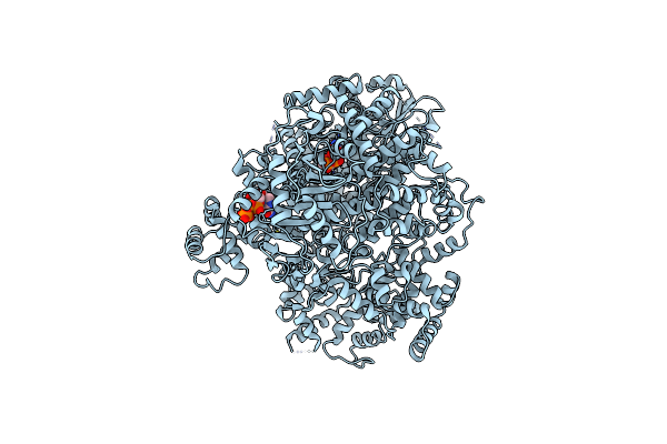 9J8V image
