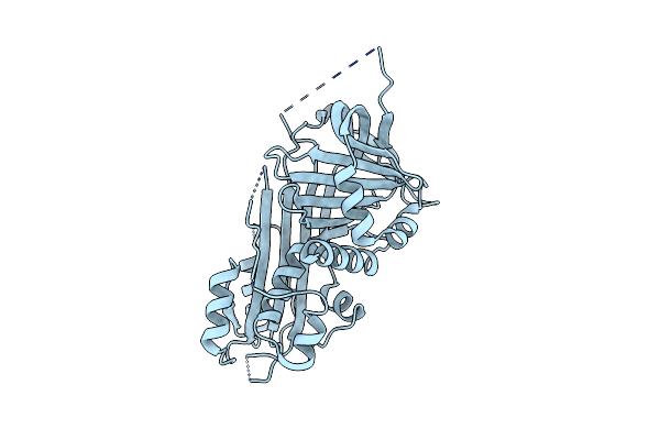 9J91 image