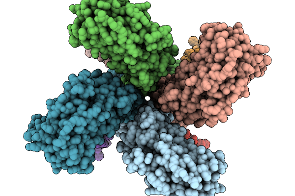 9J95 image