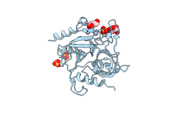 9J9A image