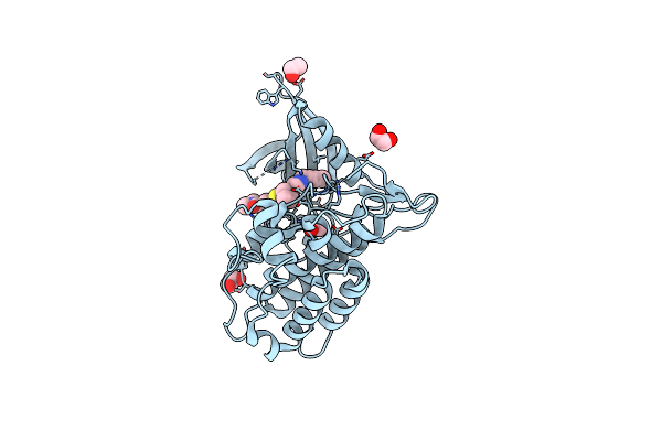 9J9D image