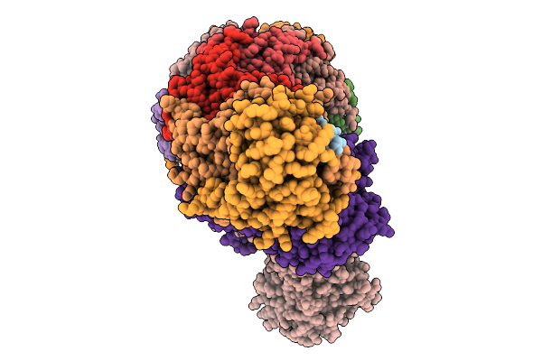 9J9E image