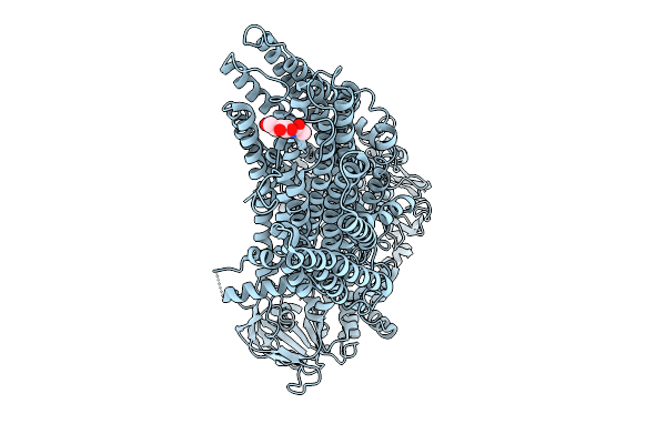 9J9F image