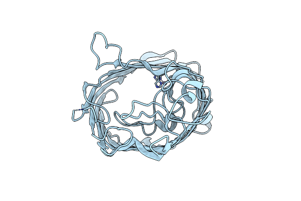 9J9P image