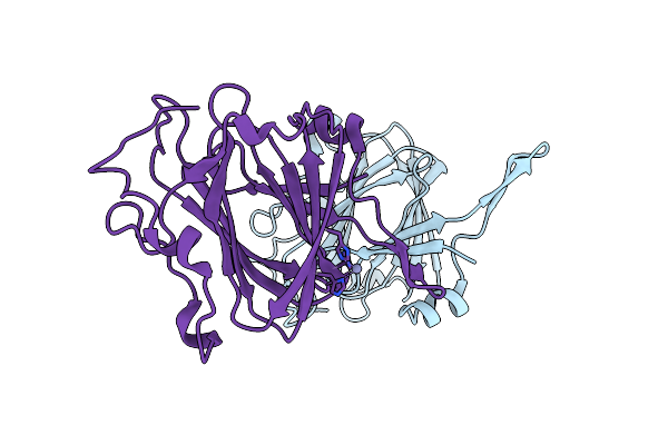 9J9T image
