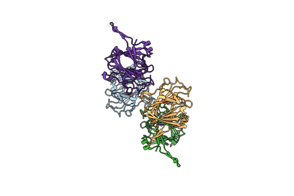 9J9V image
