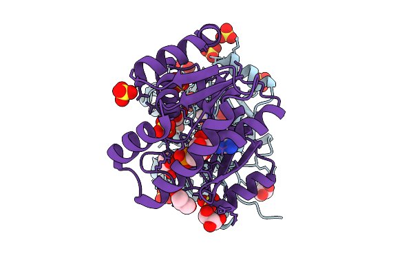 9JAF image