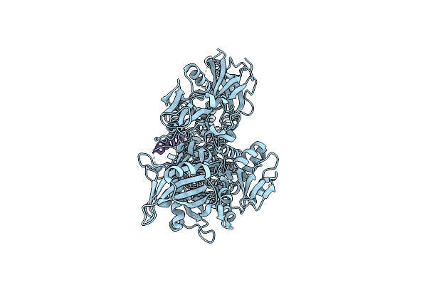 9JBM image