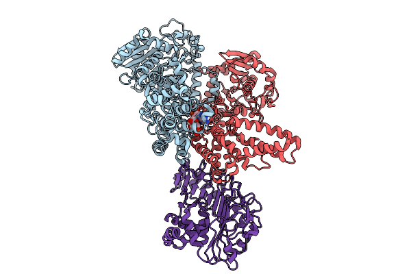 9JBN image