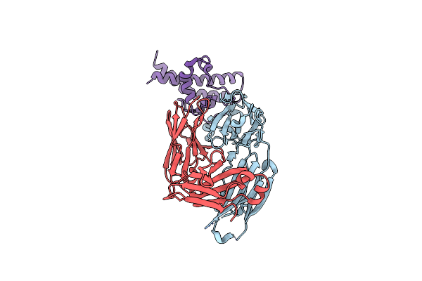 9JBQ image