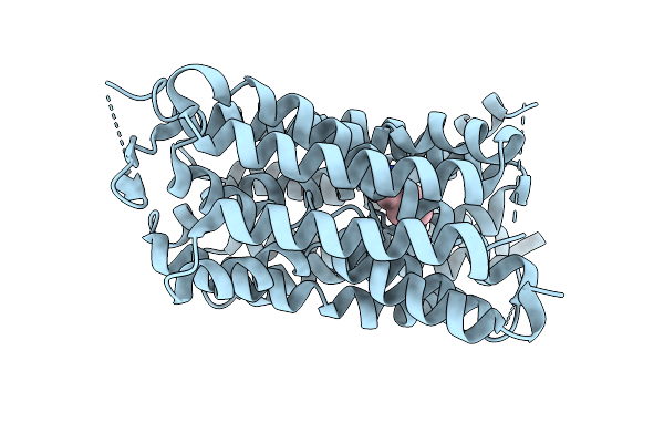 9JBT image