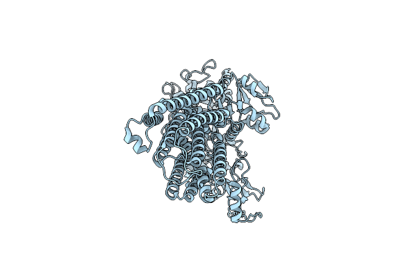 9JBZ image