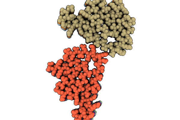 9JC5 image