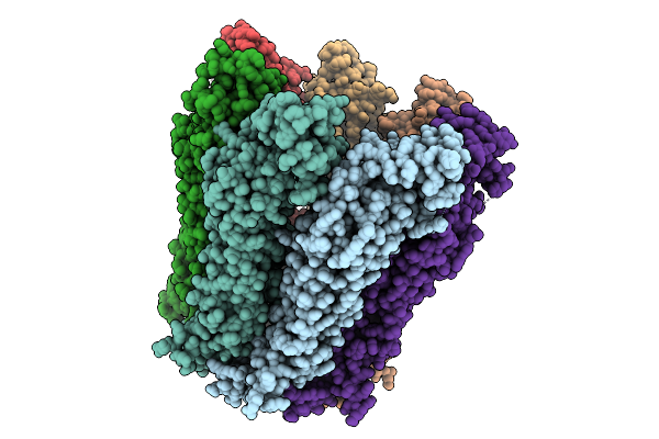 9JCF image