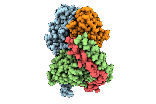 9JCL image